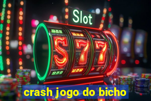 crash jogo do bicho