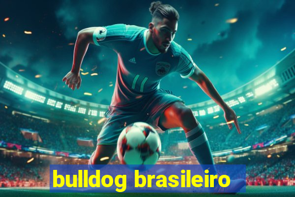 bulldog brasileiro