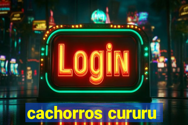 cachorros cururu