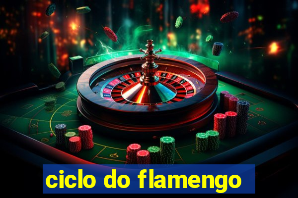 ciclo do flamengo