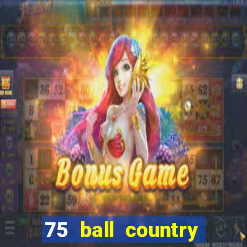 75 ball country road bingo