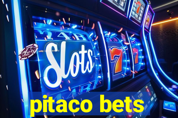 pitaco bets