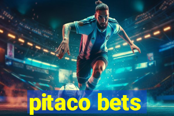 pitaco bets