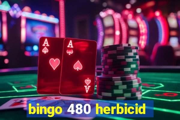 bingo 480 herbicid