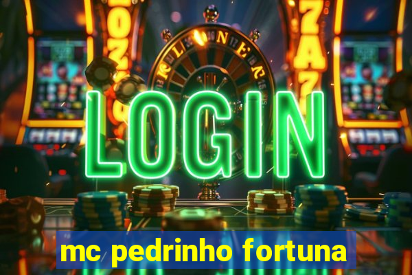 mc pedrinho fortuna