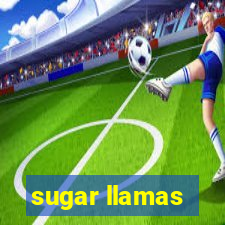 sugar llamas