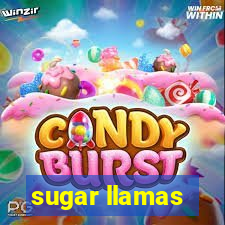 sugar llamas