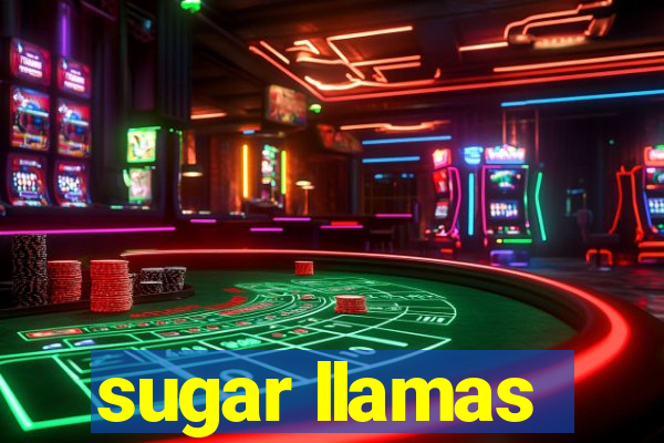 sugar llamas