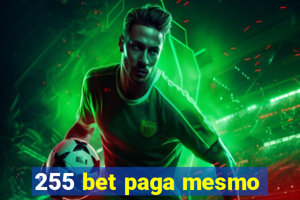 255 bet paga mesmo