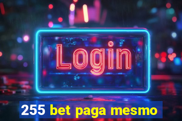 255 bet paga mesmo