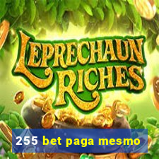 255 bet paga mesmo