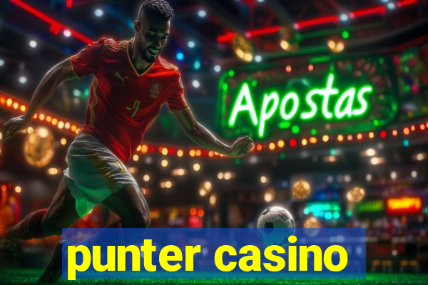 punter casino