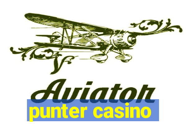 punter casino