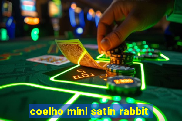 coelho mini satin rabbit