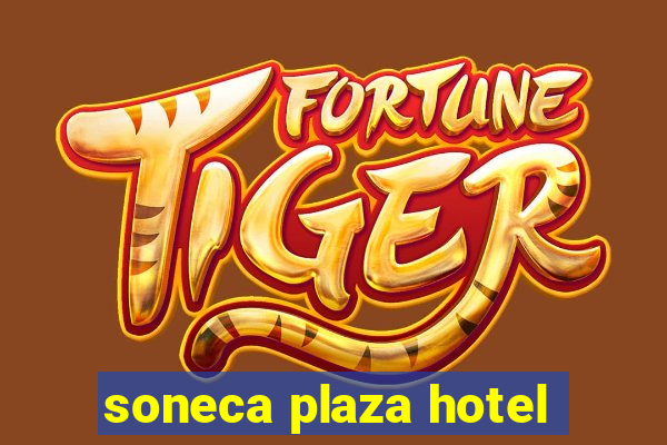 soneca plaza hotel