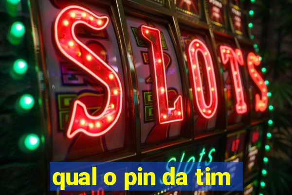 qual o pin da tim