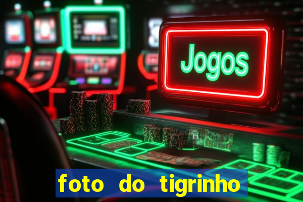 foto do tigrinho do jogo