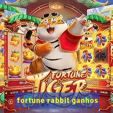 fortune rabbit ganhos