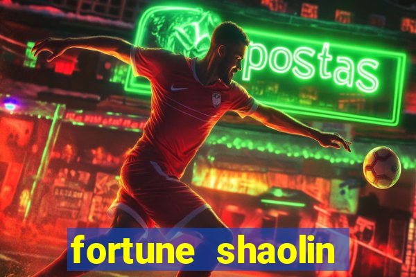 fortune shaolin soccer demo