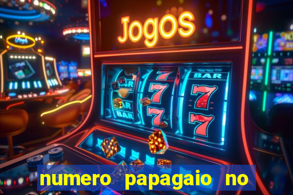 numero papagaio no jogo do bicho