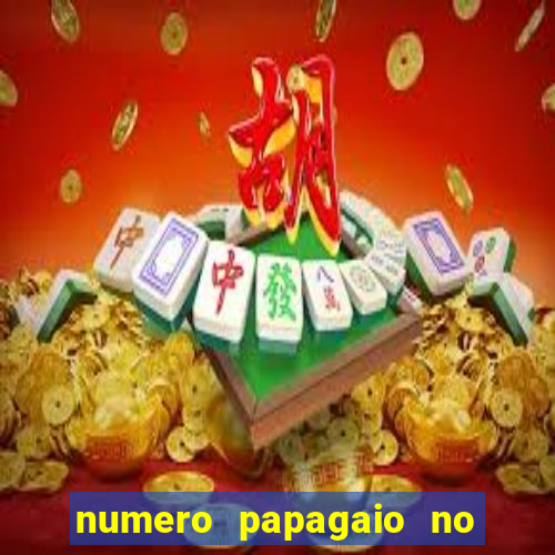 numero papagaio no jogo do bicho