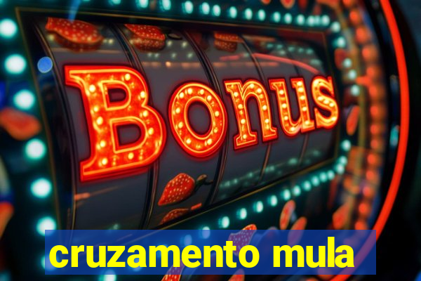 cruzamento mula