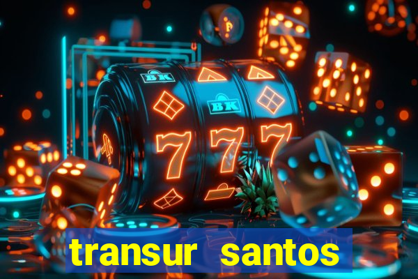 transur santos dumont x juiz de fora 2024