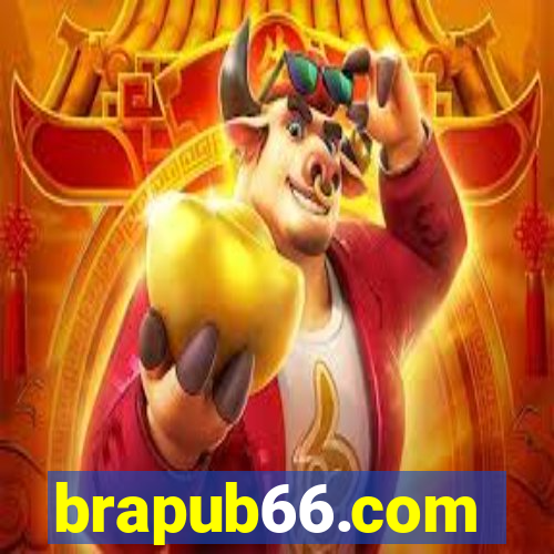 brapub66.com