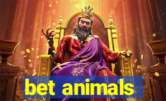 bet animals