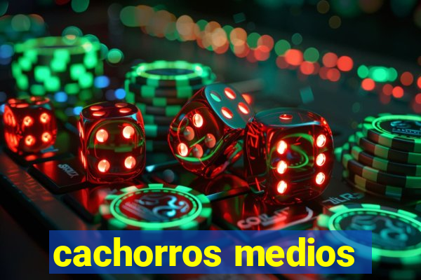 cachorros medios