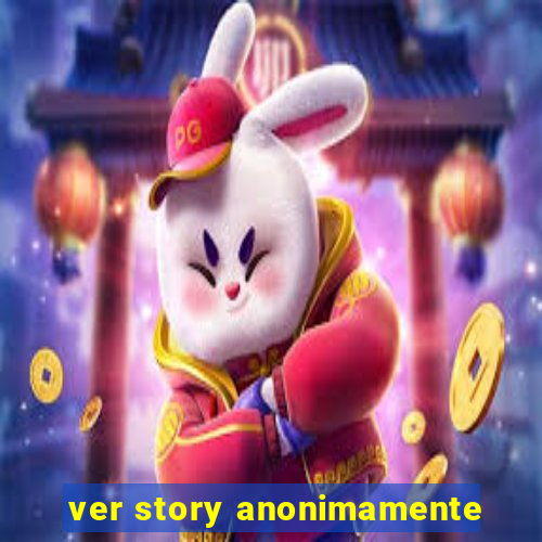 ver story anonimamente