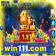 win111.com