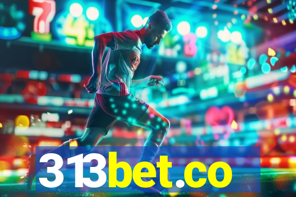 313bet.co