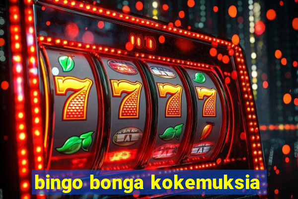 bingo bonga kokemuksia