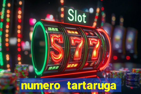 numero tartaruga jogo do bicho