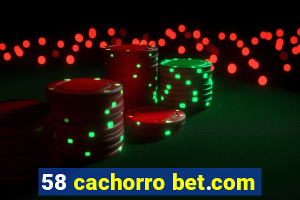 58 cachorro bet.com