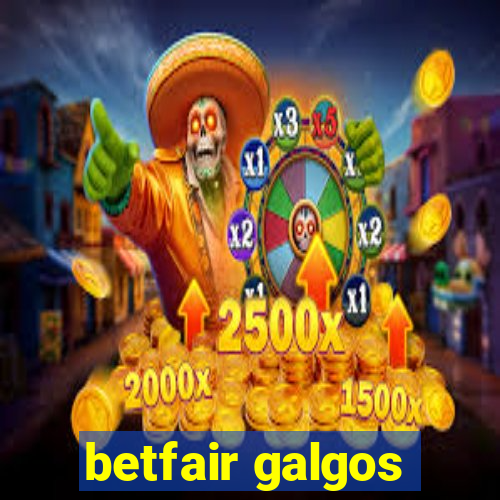 betfair galgos