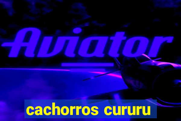 cachorros cururu