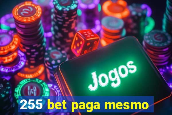 255 bet paga mesmo