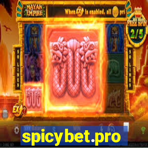 spicybet.pro